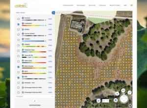 Plataforma Web vitiDron